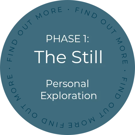 Phaise One The Still – Click to Find Out More